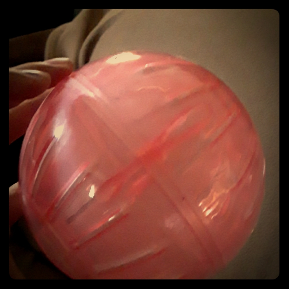 A mini hamster ball